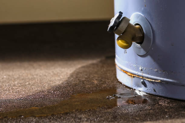 Best Water damage cleanup near me  in Meadowbrook, VA