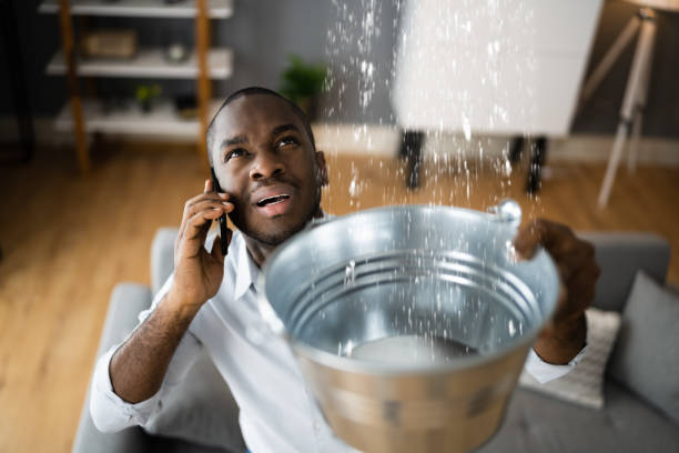Best Water damage cleanup near me  in Meadowbrook, VA