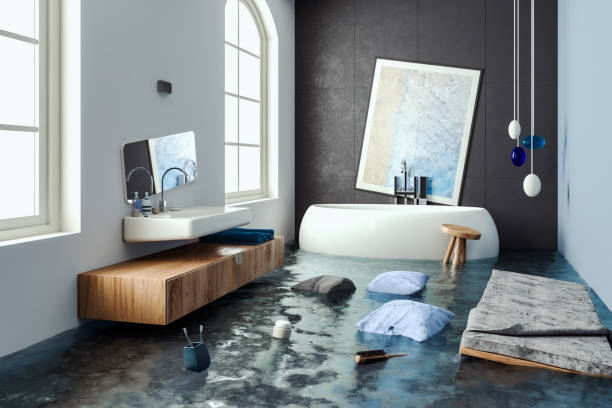 Best 24/7 water damage repair  in Meadowbrook, VA