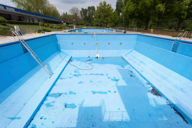 Best Water damage restoration mold remediation  in Meadowbrook, VA