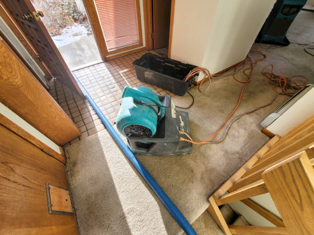 Best 24/7 water damage repair  in Meadowbrook, VA