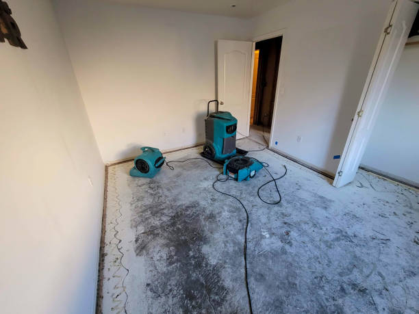 Water damage restoration experts in VA