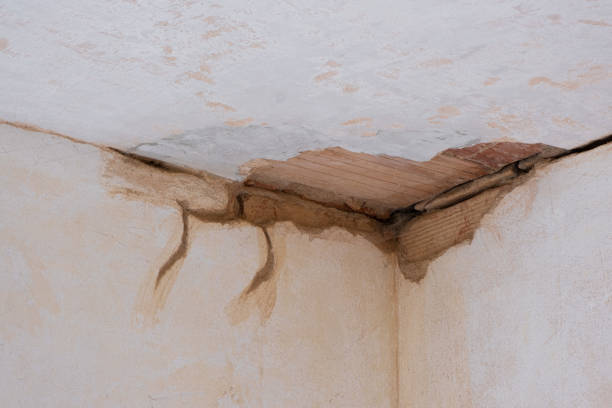 Best Water damage restoration near me  in Meadowbrook, VA