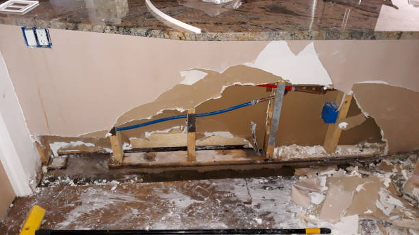 Best Flood damage cleanup  in Meadowbrook, VA