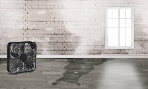 Best Fire Damage Restoration  in Meadowbrook, VA