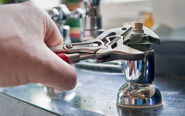 Best Basement water damage restoration  in Meadowbrook, VA