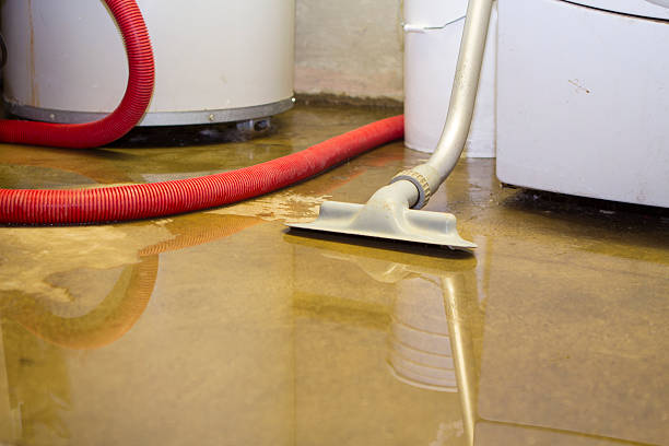 Best Commercial water damage restoration  in Meadowbrook, VA