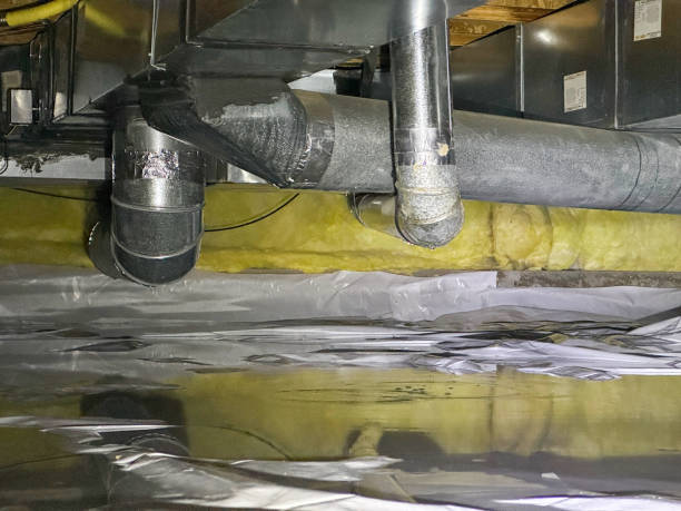Best Water damage contractors near me  in Meadowbrook, VA