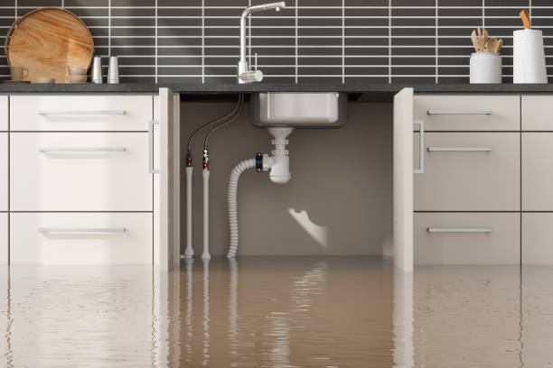 Best Fire Damage Restoration  in Meadowbrook, VA