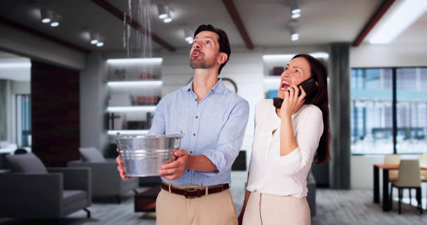 Best Water damage restoration near me  in Meadowbrook, VA